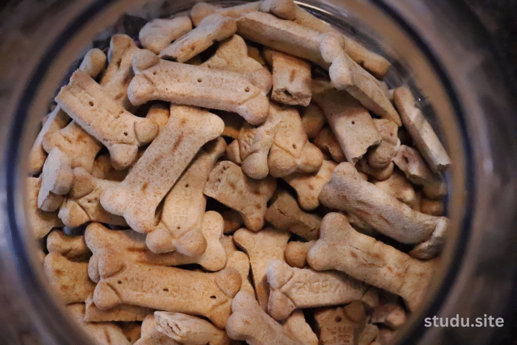 rachael ray dog food