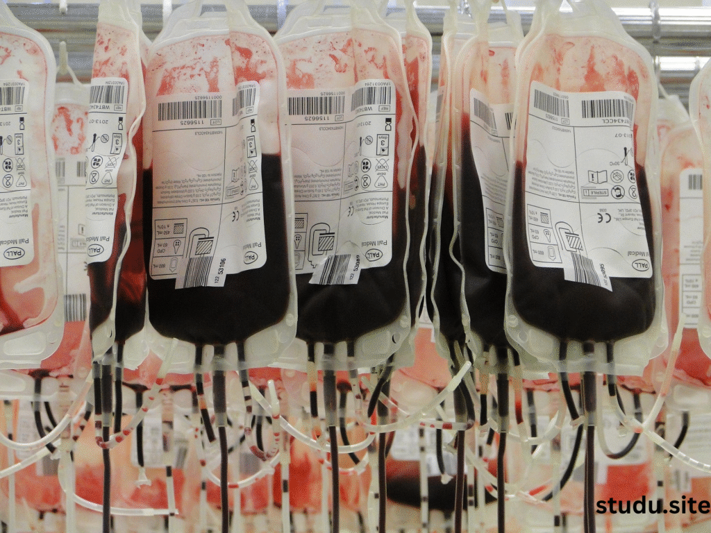 blood in dog stool
